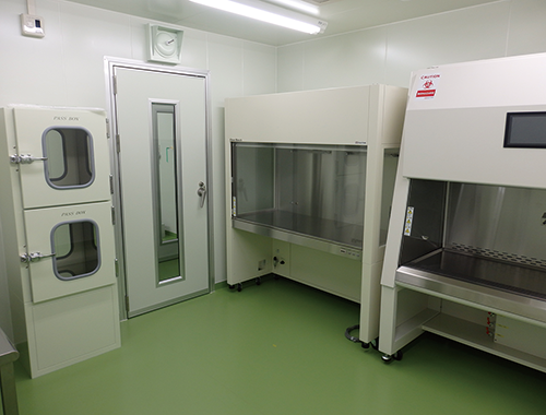 細胞加工プロジェクト